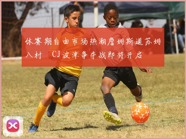 休赛期自由市场热潮詹姆斯道苏姆八村塁CJ波津争夺战即将开启