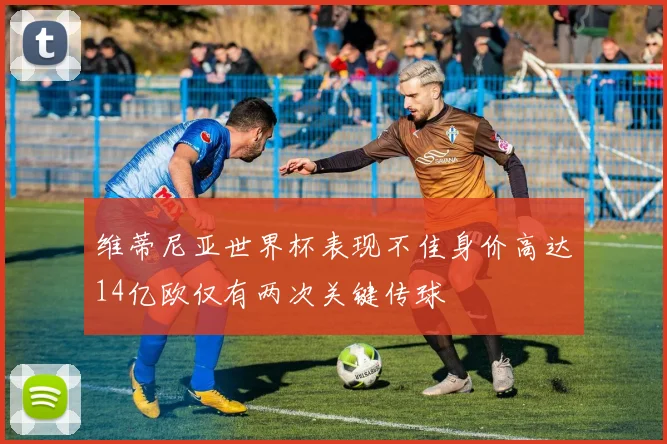 维蒂尼亚世界杯表现不佳身价高达14亿欧仅有两次关键传球