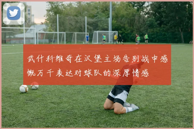 武什科维奇在汉堡主场告别战中感慨万千表达对球队的深厚情感