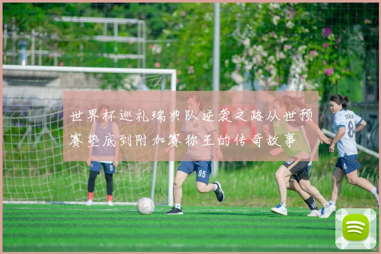 世界杯巡礼瑞典队逆袭之路从世预赛垫底到附加赛称王的传奇故事